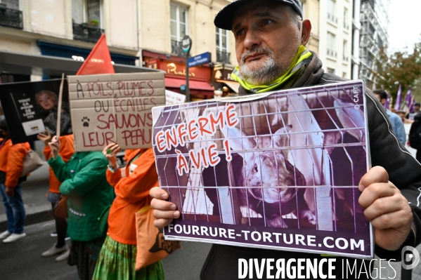 Cause animale :  Marche contre la fourrure et contre l exploitation des animaux pour leur peau. March Against Fur and the Exploitation of Animals for Their Skin.2021.