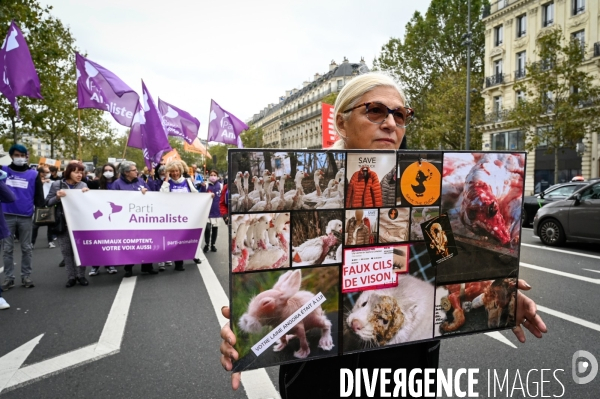 Cause animale :  Marche contre la fourrure et contre l exploitation des animaux pour leur peau. March Against Fur and the Exploitation of Animals for Their Skin.2021.