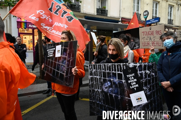 Cause animale :  Marche contre la fourrure et contre l exploitation des animaux pour leur peau. March Against Fur and the Exploitation of Animals for Their Skin.2021.