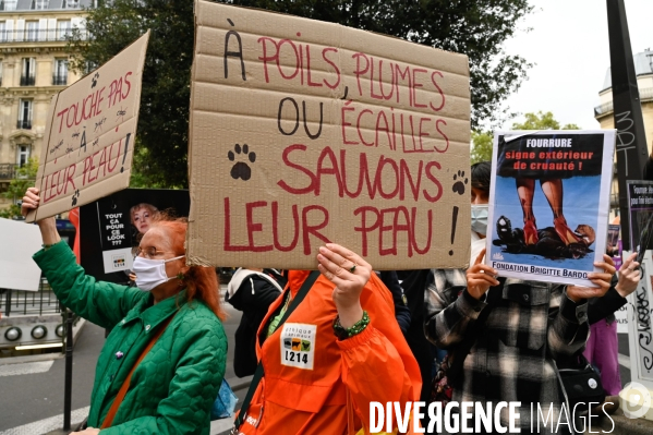 Cause animale :  Marche contre la fourrure et contre l exploitation des animaux pour leur peau. March Against Fur and the Exploitation of Animals for Their Skin.2021.