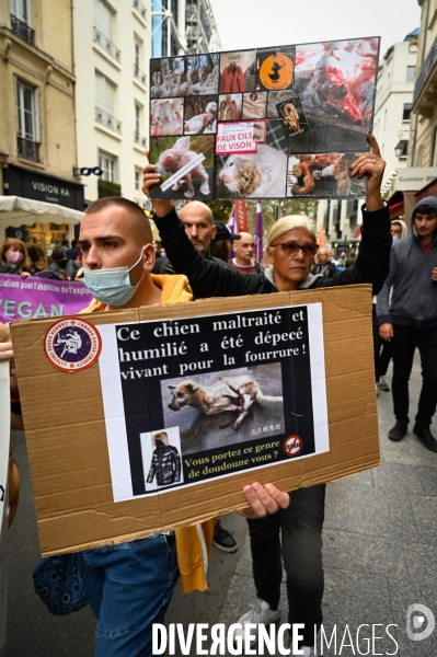 Cause animale :  Marche contre la fourrure et contre l exploitation des animaux pour leur peau. March Against Fur and the Exploitation of Animals for Their Skin.2021.