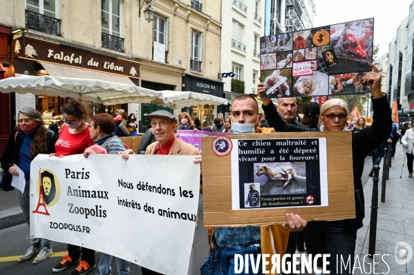 Cause animale :  Marche contre la fourrure et contre l exploitation des animaux pour leur peau. March Against Fur and the Exploitation of Animals for Their Skin.2021.