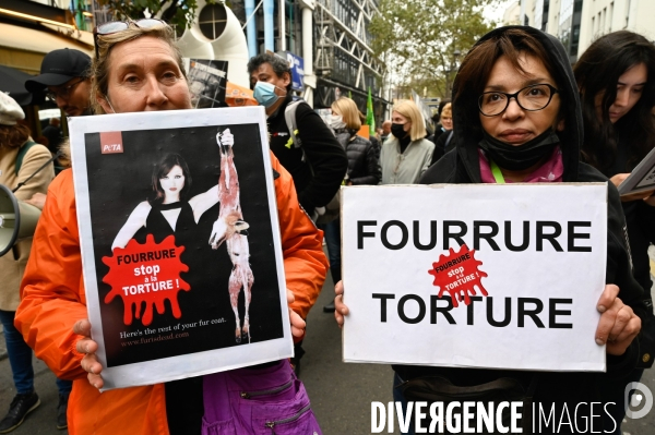 Cause animale :  Marche contre la fourrure et contre l exploitation des animaux pour leur peau. March Against Fur and the Exploitation of Animals for Their Skin.2021.