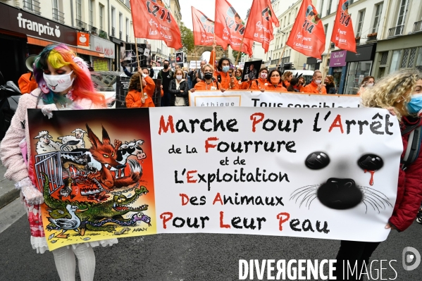 Cause animale :  Marche contre la fourrure et contre l exploitation des animaux pour leur peau. March Against Fur and the Exploitation of Animals for Their Skin.2021.