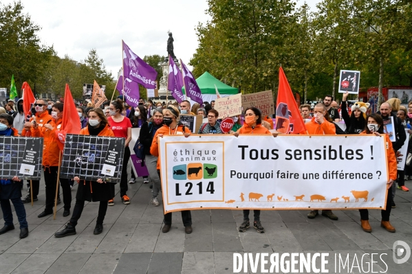 Cause animale :  Marche contre la fourrure et contre l exploitation des animaux pour leur peau. March Against Fur and the Exploitation of Animals for Their Skin.2021.