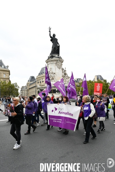 Cause animale :  Marche contre la fourrure et contre l exploitation des animaux pour leur peau. March Against Fur and the Exploitation of Animals for Their Skin.2021.