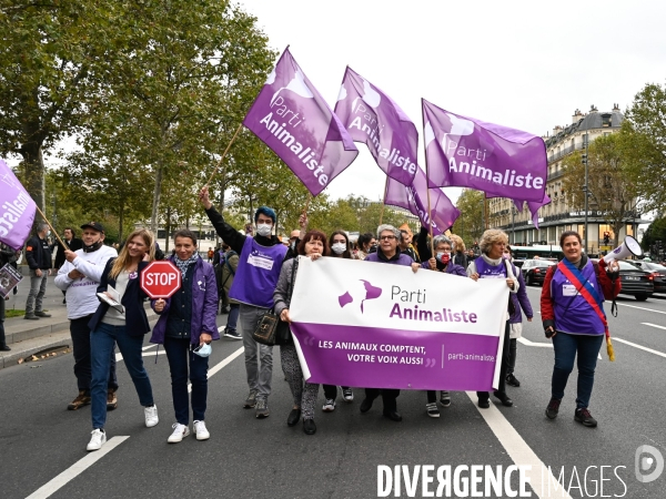 Cause animale :  Marche contre la fourrure et contre l exploitation des animaux pour leur peau. March Against Fur and the Exploitation of Animals for Their Skin.2021.