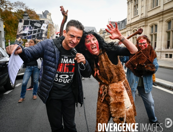 Cause animale :  Marche contre la fourrure et contre l exploitation des animaux pour leur peau. March Against Fur and the Exploitation of Animals for Their Skin.2021.