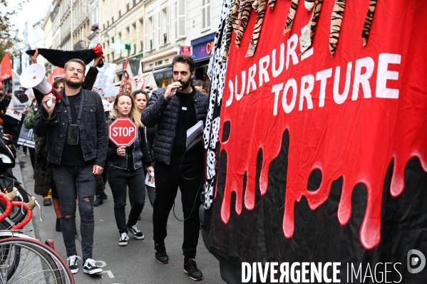 Cause animale :  Marche contre la fourrure et contre l exploitation des animaux pour leur peau. March Against Fur and the Exploitation of Animals for Their Skin.2021.