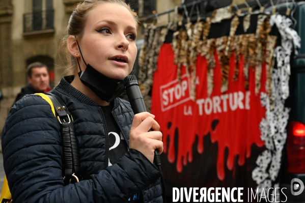 Cause animale :  Marche contre la fourrure et contre l exploitation des animaux pour leur peau. March Against Fur and the Exploitation of Animals for Their Skin.2021.