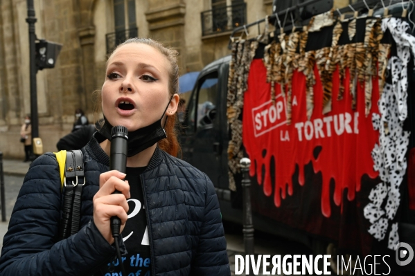 Cause animale :  Marche contre la fourrure et contre l exploitation des animaux pour leur peau. March Against Fur and the Exploitation of Animals for Their Skin.2021.