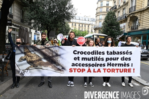 Cause animale :  Marche contre la fourrure et contre l exploitation des animaux pour leur peau. March Against Fur and the Exploitation of Animals for Their Skin.2021.