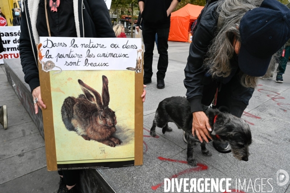 Cause animale :  Marche contre la fourrure et contre l exploitation des animaux pour leur peau. March Against Fur and the Exploitation of Animals for Their Skin.2021.