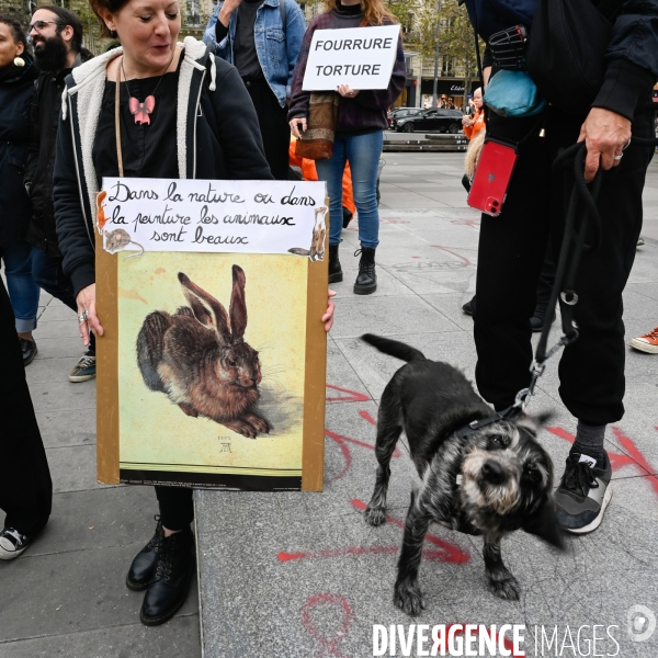 Cause animale :  Marche contre la fourrure et contre l exploitation des animaux pour leur peau. March Against Fur and the Exploitation of Animals for Their Skin.2021.