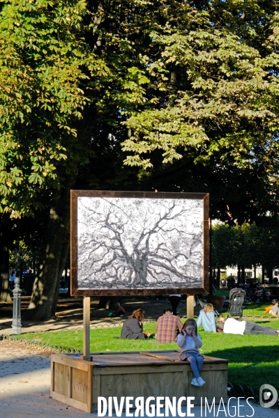 Photo Climat, premiére biennale sociale & environnementale de Paris