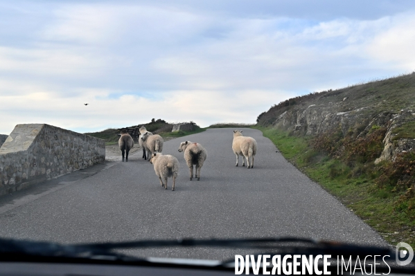 L île d Ouessant,  le Bout du Monde 