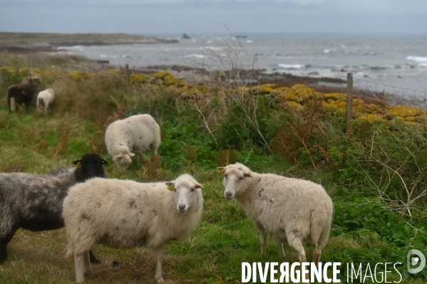 L île d Ouessant,  le Bout du Monde 