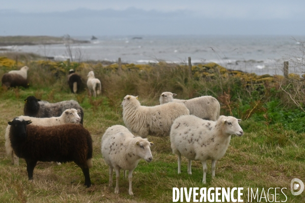 L île d Ouessant,  le Bout du Monde 