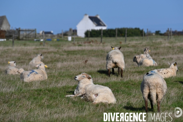L île d Ouessant,  le Bout du Monde 