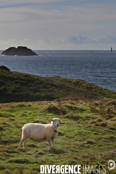 L île d Ouessant,  le Bout du Monde 