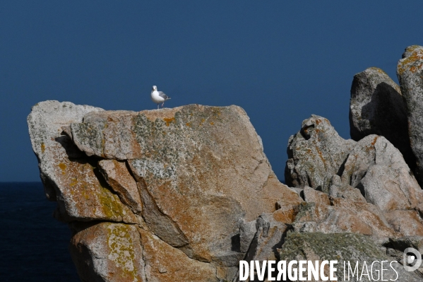 L île d Ouessant,  le Bout du Monde 