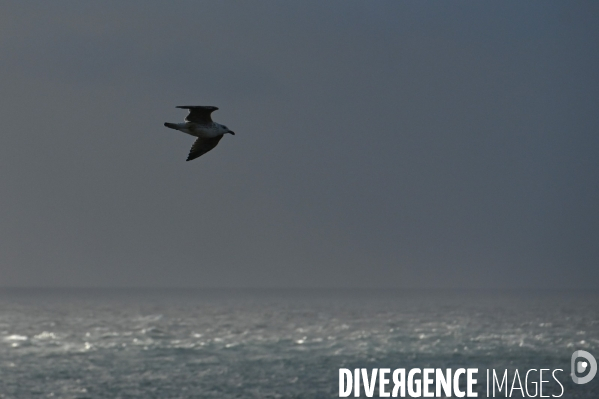 L île d Ouessant,  le Bout du Monde 