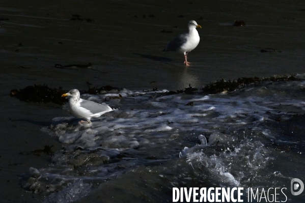 L île d Ouessant,  le Bout du Monde 