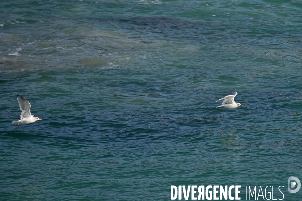L île d Ouessant,  le Bout du Monde 