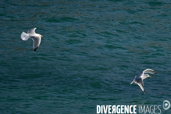 L île d Ouessant,  le Bout du Monde 