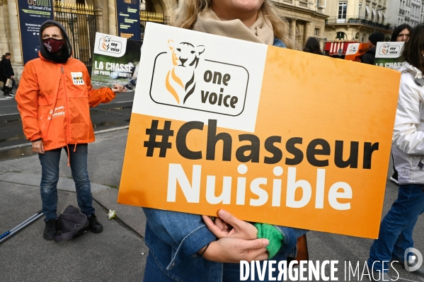 Cause animale. Action nationale,  La chasse, un problème mortel . Hunting, a deadly problem.