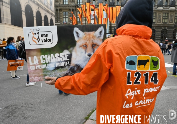 Cause animale. Action nationale,  La chasse, un problème mortel . Hunting, a deadly problem.