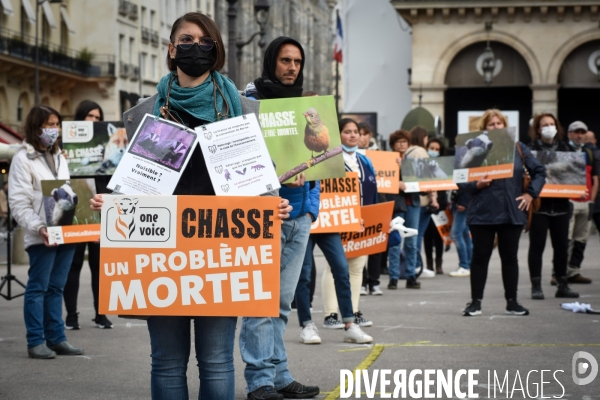 Cause animale. Action nationale,  La chasse, un problème mortel . Hunting, a deadly problem.