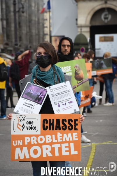 Cause animale. Action nationale,  La chasse, un problème mortel . Hunting, a deadly problem.