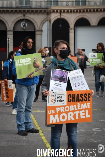 Cause animale. Action nationale,  La chasse, un problème mortel . Hunting, a deadly problem.