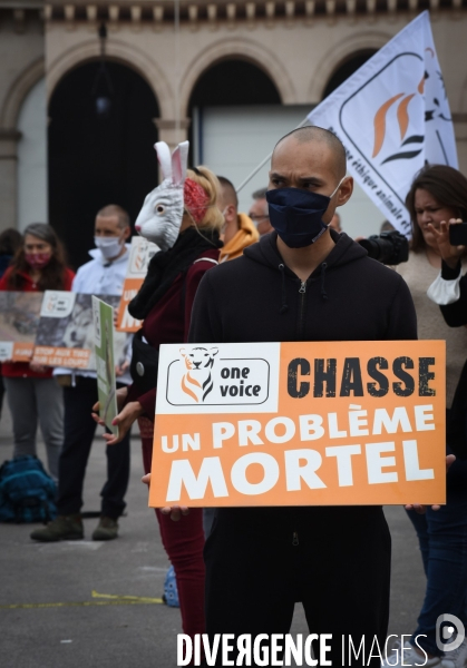 Cause animale. Action nationale,  La chasse, un problème mortel . Hunting, a deadly problem.