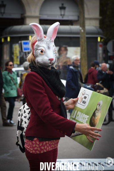 Cause animale. Action nationale,  La chasse, un problème mortel . Hunting, a deadly problem.
