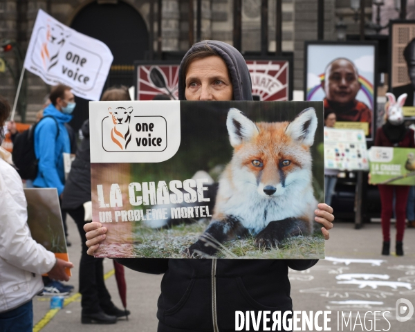 Cause animale. Action nationale,  La chasse, un problème mortel . Hunting, a deadly problem.