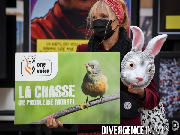 Cause animale. Action nationale,  La chasse, un problème mortel . Hunting, a deadly problem.