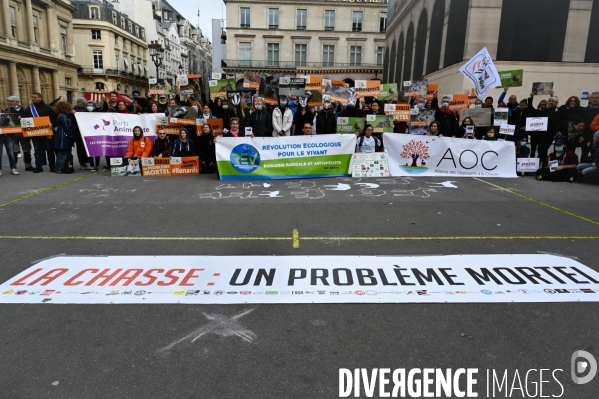 Cause animale. Action nationale,  La chasse, un problème mortel . Hunting, a deadly problem.