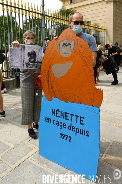 Cause animale. Animalistes demandent la libération des animaux de la Ménagerie du jardin des plantes de Paris.