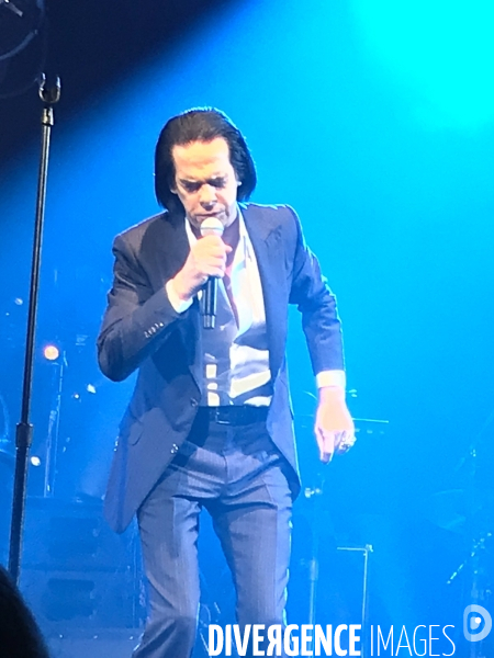 Nick Cave