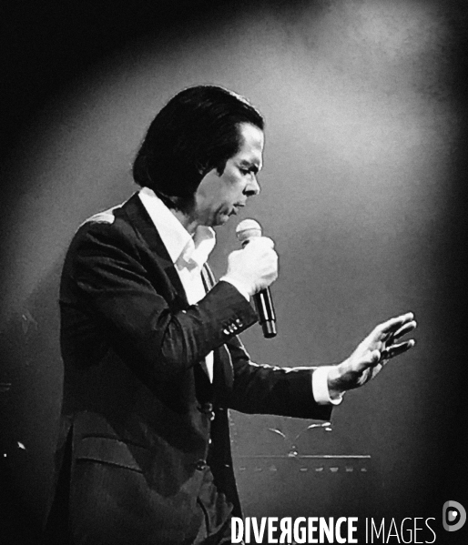 Nick Cave