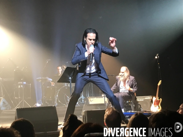 Nick Cave