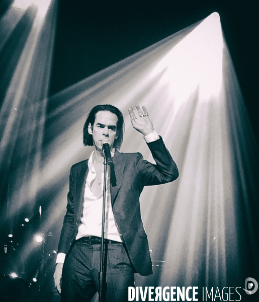 Nick Cave
