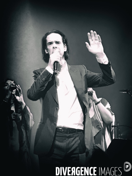 Nick Cave