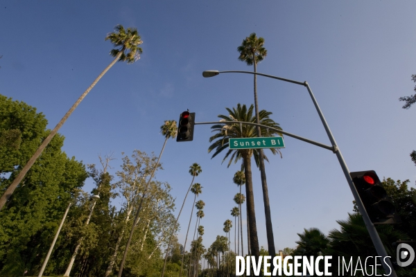 Los angeles