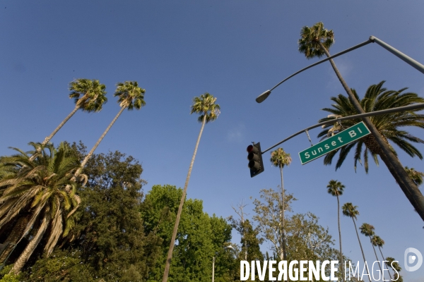 Los angeles