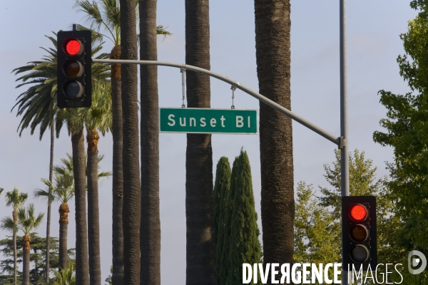 Los angeles