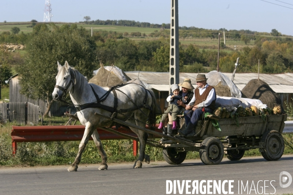 Roumanie/transylvanie