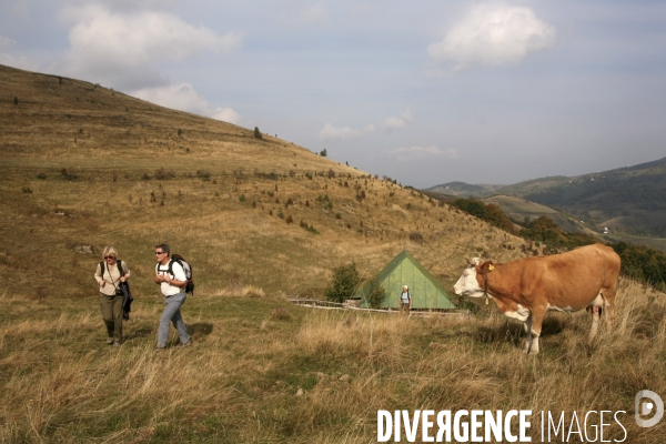 Roumanie/transylvanie